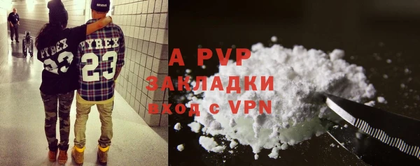 сатива Аркадак