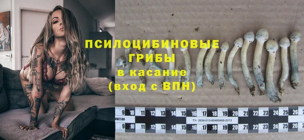 эйфоретик Балахна