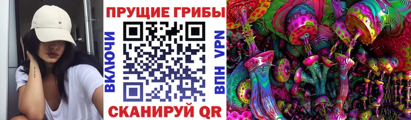 Купить где  Семилуки  Псилоцибиновые грибы GOLDEN TEACHER 